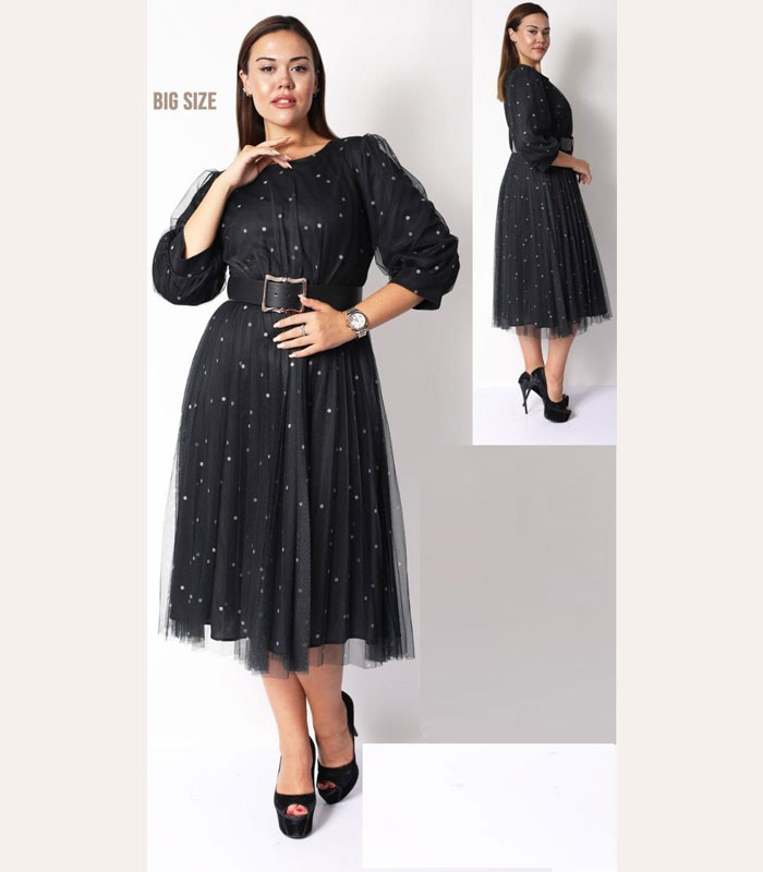 Mesh-3-4-Sleeved-Midi-Dress